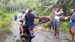 Warga Paulundu, Desa Jawapogo, di Mauponggo, Nagekeo saat membersihkan batang pohon dan rantai yang tumbang di jalan raya. Foto: Pos Kupang.com