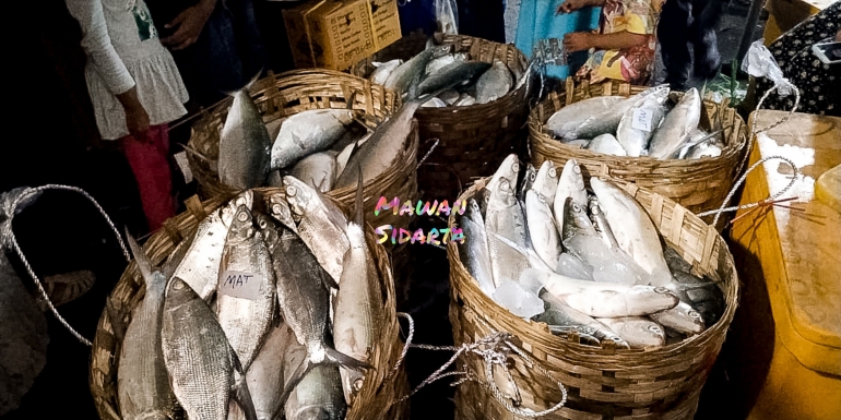 Ikan bandeng dalam keranjang di acara pasar bandeng Gresik (Dokumentasi Mawan Sidarta) 