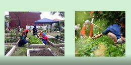 Deskripsi : Urban farming yang dilaksanakan di Kota bandung I Sumber Foto : Youtube Bandung Food Smart City