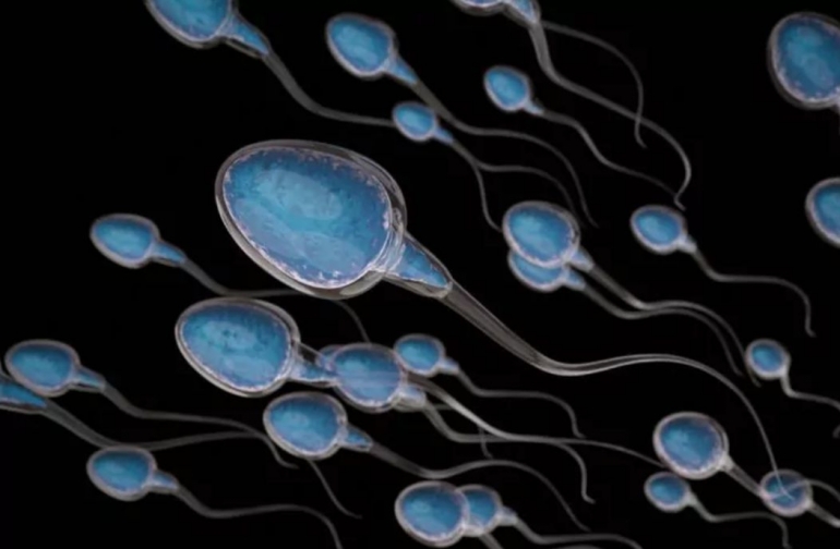 Jumlah sperma menurun drastis dalam kurun 40 tahun terakhir Sumber: ccrmivf.com