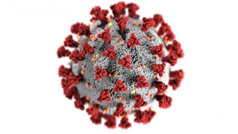 Ilustrasi virus (Sumber : CDC via unsplash.com)