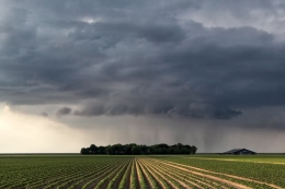 Hujan di wilayah pertanian (Sumber: Kompas)