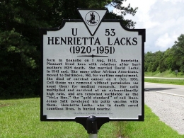Plakat peringatan Henrietta Lacks di Virginia, Amerika Serikat | Foto diambil dari Wikimedia