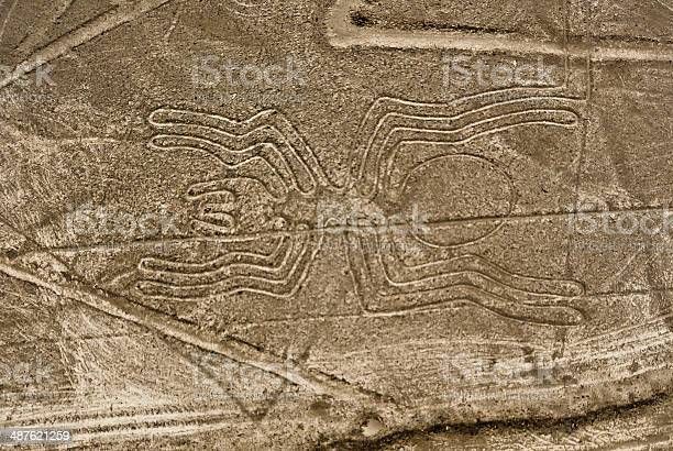 Garis nazca berbentuk laba-laba, peninggalan kebudayaan kuno(sumber : https://www.istockphoto.com/photo/nazca-lines-spider-gm487621259-38942746?utm_so