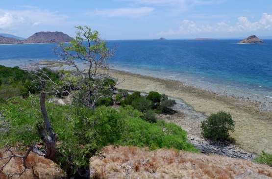 Pulau Kenawa dengan pantainya yang biru (Dokpri)