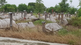 Kuburan yang sudah rapi dan tertutupi tumpukan alang-alang - foto: dokumentasi Mardi Wu