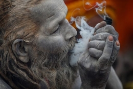 Seorang pendeta agam Hindu India sedang menghisap ganja sebagai bagian dari ritual keagamaan | neocha.com 