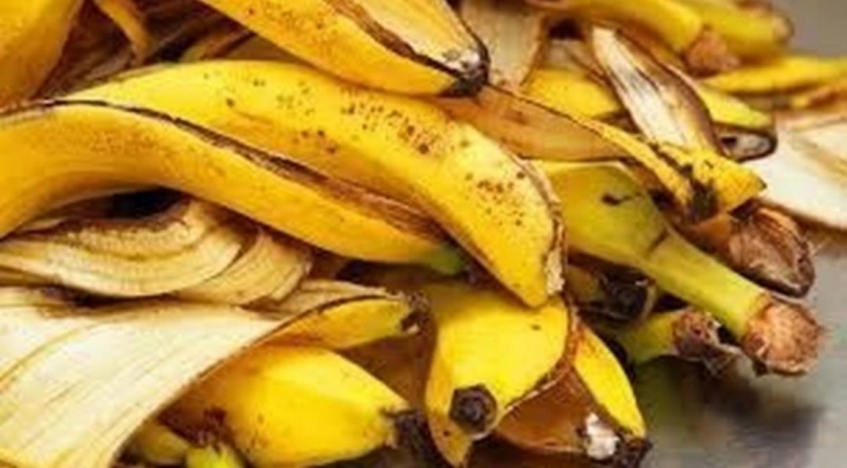 Pisang (Sumber: food.detik.com)