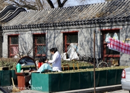 Layanan potong rambut di luar rumah | foto: HennieTriana