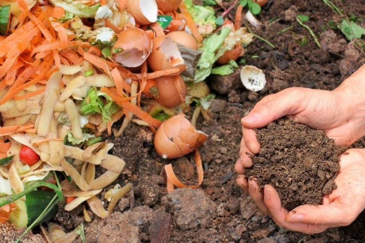 Ilustrasi membuat pupuk organik atau kompos dari limbah (Shutterstock/Marina Lohrbach)
