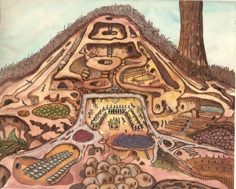 Mengungkap Toilet di  Sarang  Semut  Perilaku Sanitasi  Mengungkap Toilet di  Sarang  Semut  Perilaku Sanitasi