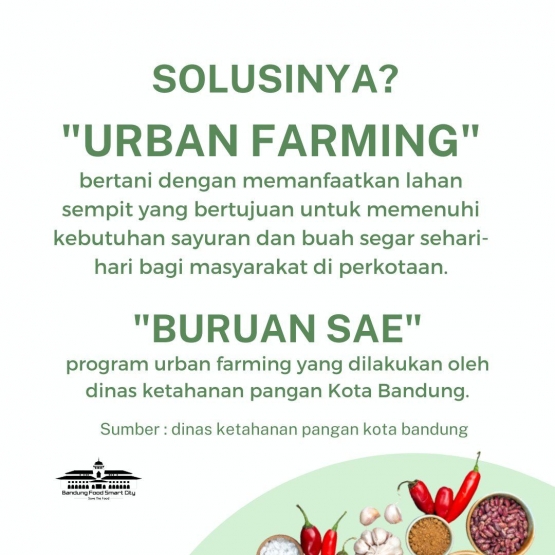 Urban farming di Bandung - twitter.com/bdgcerdaspangan
