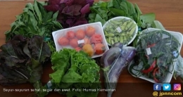 sayuran sebagai makanan kaya serat | sumber gambar oleh Humas Kementan diuduh dari situs jpnn.com
