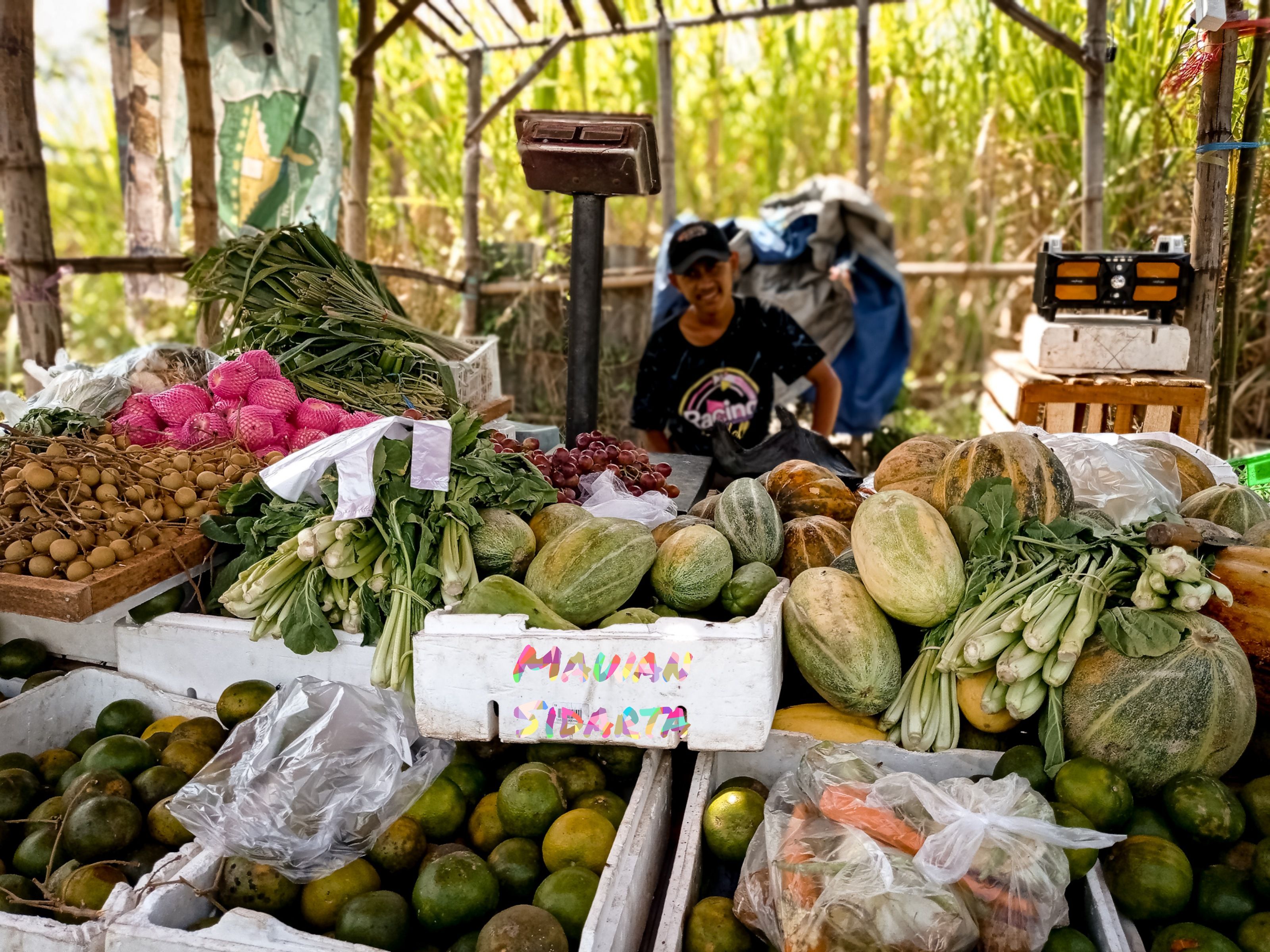 Sayur dan buah mengandung selulosa yang baik untuk kesehatan tubuh (Dokumentasi Mawan Sidarta) 