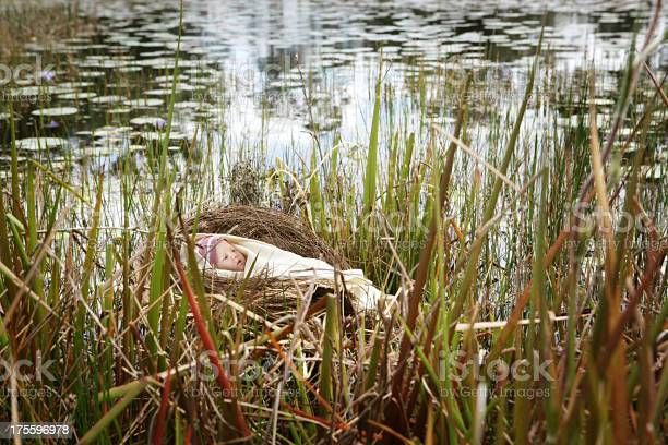 ilustrasi bayi musa dihanyutkan (kreditfoto: www.istockphoto.com
