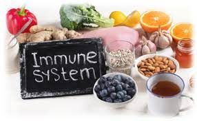 ilustrasi makanan sehat untuk imunitas. (darya-varia.com/diunduh)