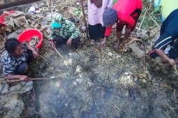 Tradisi bakar batu di Papua (regional.kompas com)