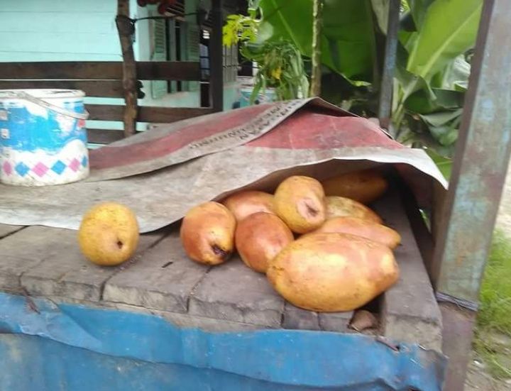 Lapak buah Kemang di Danau Sipin. (Foto: Elvidayanty)