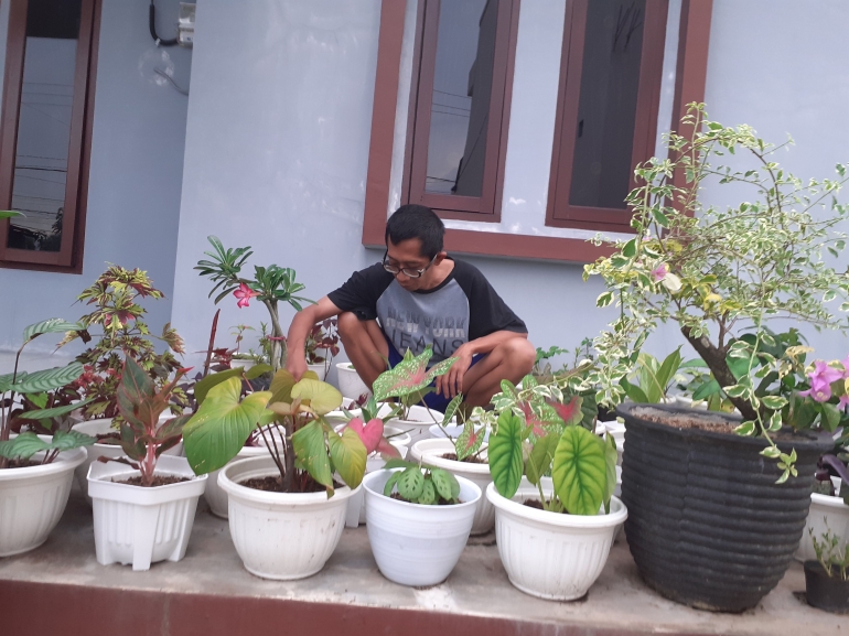 Ramadan di rumah aja, ya menekuni hobi tanaman hias aja | Dokumen Pribadi