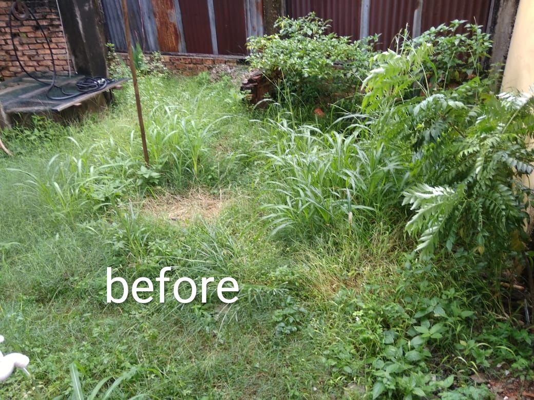 Salah satu sudut halaman belakang sebelum pandemi. (Foto : Elvidayanty)