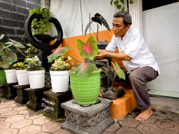 Berkebun merupakan cara sederhana mengisi Ramadan selama diam di rumah saja (Dokumentasi Mawan Sidarta) 