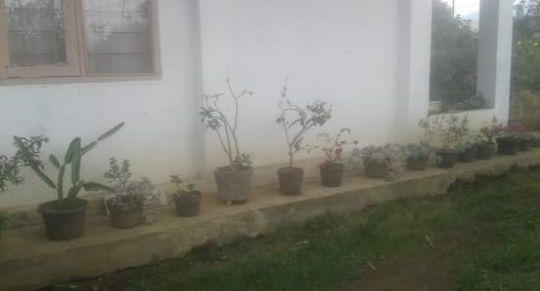 Foto Dokumentasi Pribadi