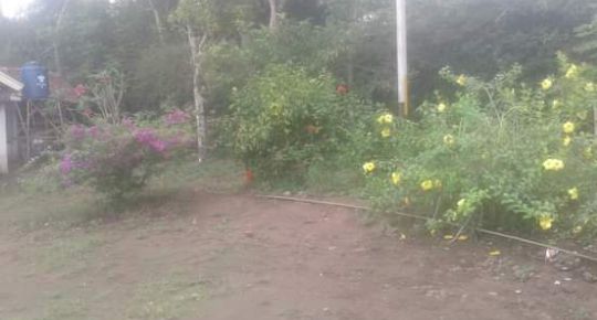 Foto Dokumentasi Pribadi
