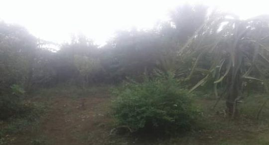 Foto Dokumentasi Pribadi