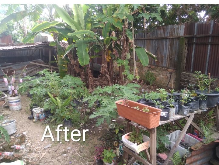 (foto : Elvidayanty)