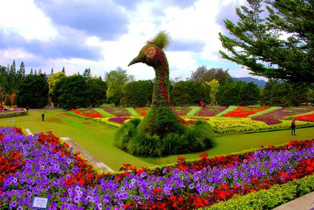Taman Bunga Nusantara. (Lovely Bogor)