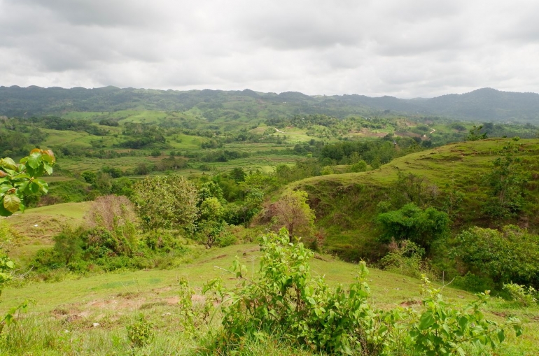 Hamparan tanah hijau Sumba Barat Daya (Dokpri)