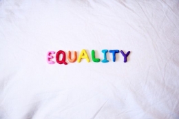 Ilustrasi kesetaraan gender (Pexels.com/SharonMcCutcheon