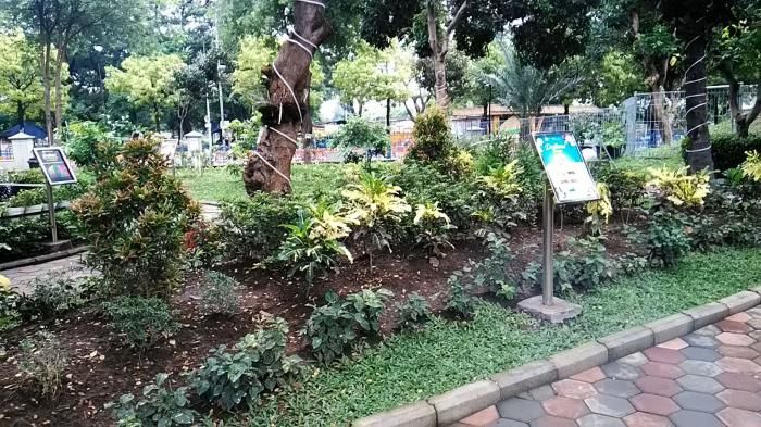 Aneka tanaman di Edupark | dokpri