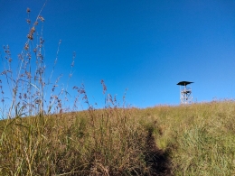 Menara pandang di tengah padang rumput Kawah Wurung. (foto: Alex)