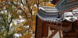 Atap rumah bangsawan tradisional Korea. Foto oleh Ivan Adilla