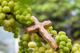 Iman berbuah karena menyatu dengan pokok anggur. Foto: perkantasjatim.org.