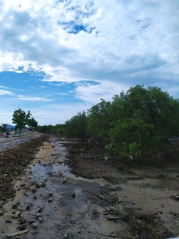 Mangrove Coastal Area/Dokpri