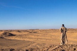 Ilustrasi lelaki arab di padang pasir (sumber gambar: pixabay.com)