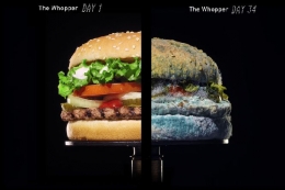 Moldy Whopper | Sumber foto: ourcommunitynow.com