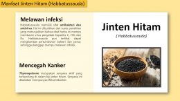 Jinten Hitam (Habbatussauda) (Sumber:Kompasiana https://drive.google.com/drive/folders/1IqBoRpdflL8wJzvs3aHZxF8Sh9tppo6D)