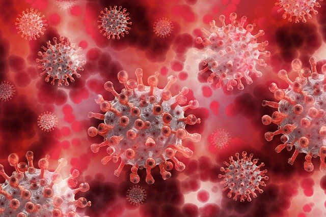 Virus (Sumber: https://pixabay.com/id/illustrations/corona-coronavirus-virus-darah-5174671/)