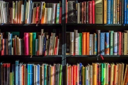 Ilustrasi lemari buku. Salah satu benda yang jamak dijadikan koleksi (sumber gambar: pixabay.com)