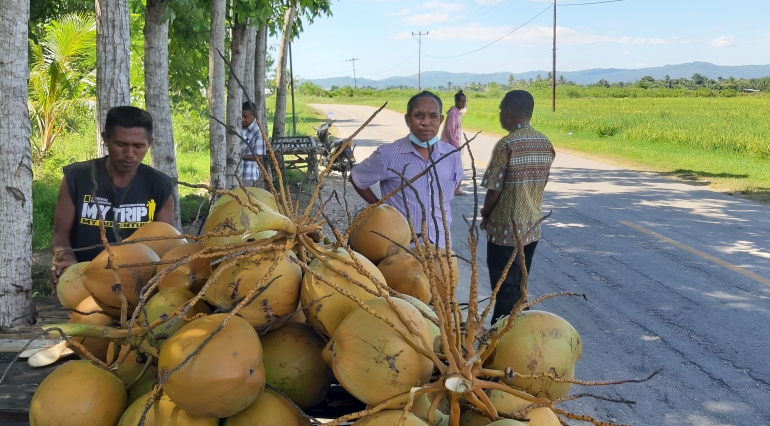 foto.dok.pribadi/Penjual kelapa muda, di Lurasik Belu/NTT, sedang melayani pembeli