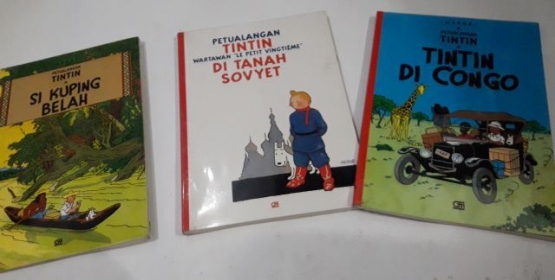 Ingat Tintin jadi ingat koleksi buku ayahku yang raib (dokpri)