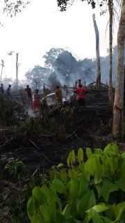 Lahan terbakar dan kabut asap di TNBD (foto : dok. Balai TNBD)