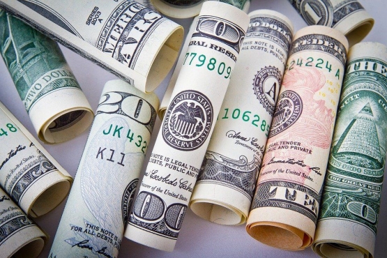 Ilustrasi pendapatan (Sumber gambar: Pixabay/NikolayFrolochkin)