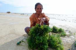 Ibu petani rumput laut (Dokumentasi pribadi)