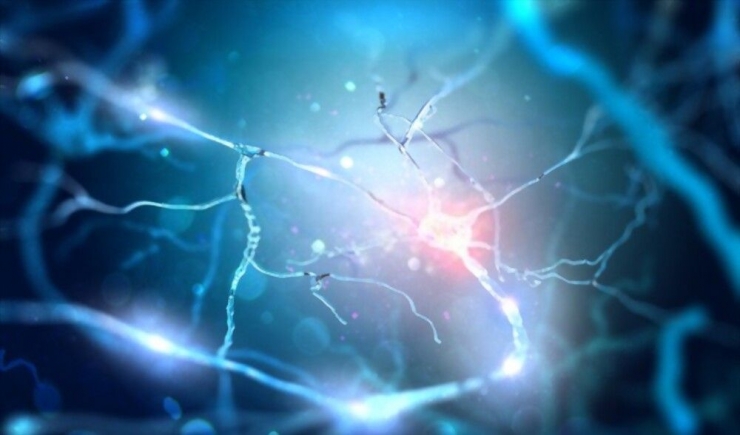 ilustrasi stock Neuron Menghubungkan dengan transmisi elektrokimia/shutterstock