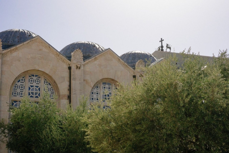 Pohon Zaitun di Taman Getsemani (Pexels)
