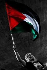 Palestine Wallpaper. Source: Apk Pure